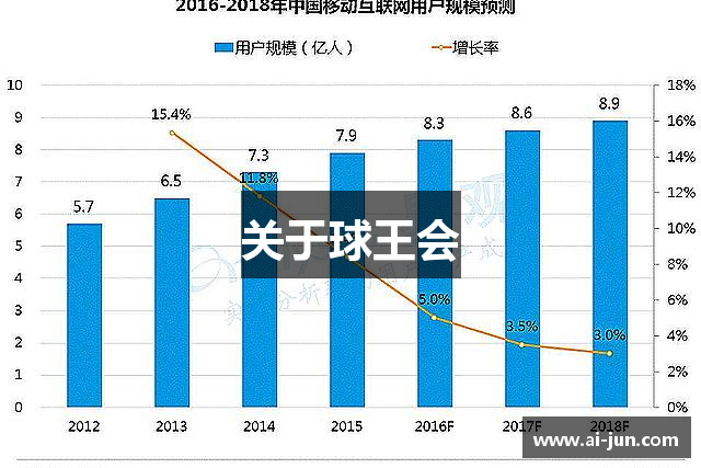 关于球王会